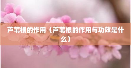 芦苇根的作用（芦苇根的作用与功效是什么）