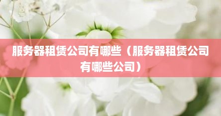 服务器租赁公司有哪些（服务器租赁公司有哪些公司）