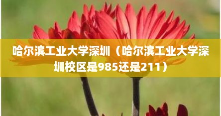 哈尔滨工业大学深圳（哈尔滨工业大学深圳校区是985还是211）