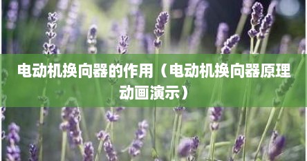 电动机换向器的作用（电动机换向器原理动画演示）