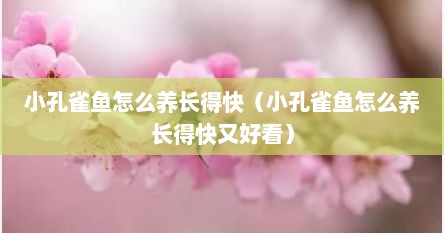 小孔雀鱼怎么养长得快（小孔雀鱼怎么养长得快又好看）