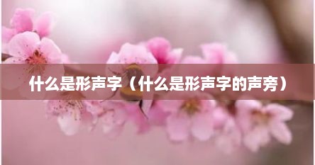 什么是形声字（什么是形声字的声旁）