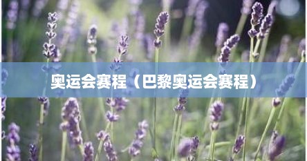 奥运会赛程（巴黎奥运会赛程）