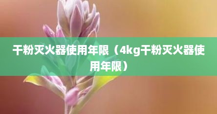 干粉灭火器使用年限（4kg干粉灭火器使用年限）