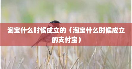 淘宝什么时候成立的（淘宝什么时候成立的支付宝）