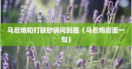 马后炮和打破砂锅问到底（马后炮后面一句）