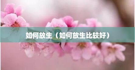 如何放生（如何放生比较好）