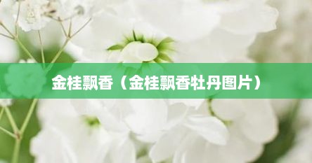 金桂飘香（金桂飘香牡丹图片）