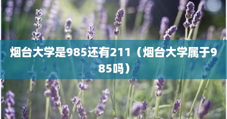 烟台大学是985还有211（烟台大学属于985吗）