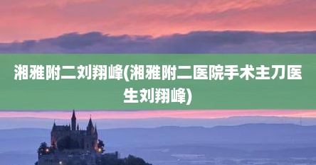 湘雅附二刘翔峰(湘雅附二医院手术主刀医生刘翔峰)