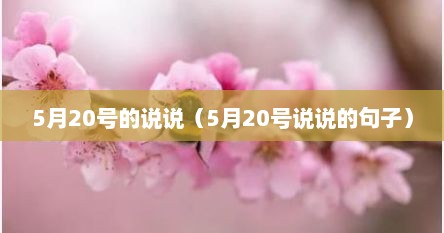 5月20号的说说（5月20号说说的句子）