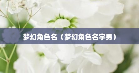 梦幻角色名（梦幻角色名字男）