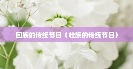 回族的传统节日（壮族的传统节日）