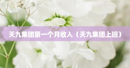 天九集团第一个月收入（天九集团上班）