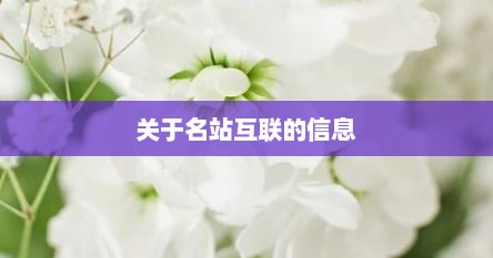 关于名站互联的信息