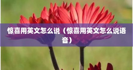 惊喜用英文怎么说（惊喜用英文怎么说语音）