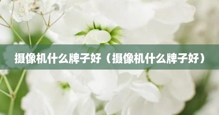 摄像机什么牌子好（摄像机什么牌子好）