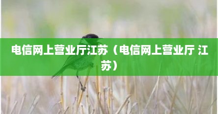 电信网上营业厅江苏（电信网上营业厅 江苏）