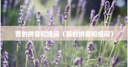 曹的拼音和组词（瓢的拼音和组词）