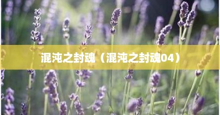 混沌之封魂（混沌之封魂04）