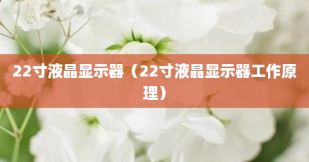 22寸液晶显示器（22寸液晶显示器工作原理）