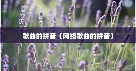 歌曲的拼音（网络歌曲的拼音）