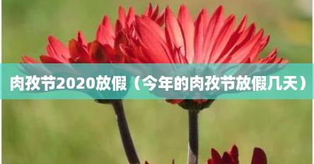 肉孜节2020放假（今年的肉孜节放假几天）