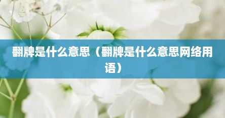 翻牌是什么意思（翻牌是什么意思网络用语）