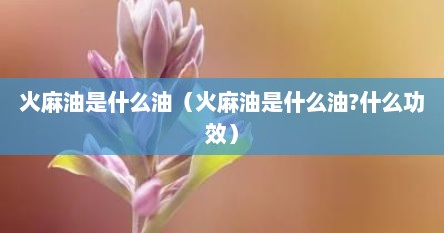 火麻油是什么油（火麻油是什么油?什么功效）