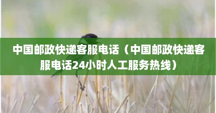 中国邮政快递客服电话（中国邮政快递客服电话24小时人工服务热线）