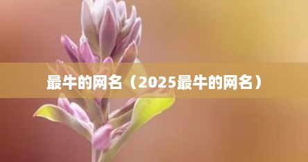 最牛的网名（2025最牛的网名）