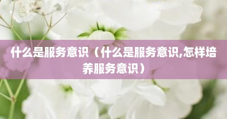 什么是服务意识（什么是服务意识,怎样培养服务意识）