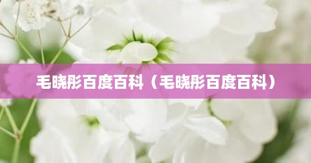 毛晓彤百度百科（毛晓彤百度百科）