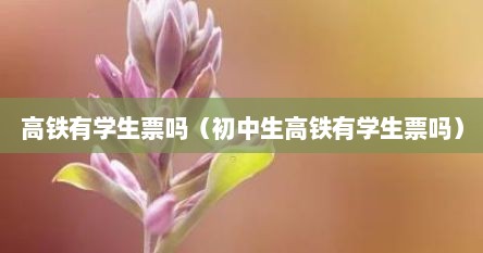 高铁有学生票吗（初中生高铁有学生票吗）