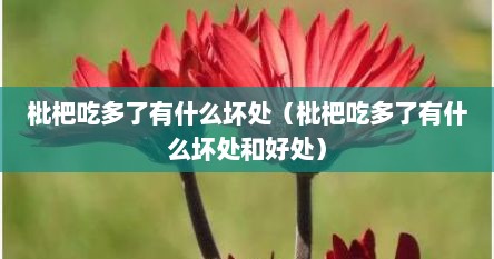 枇杷吃多了有什么坏处（枇杷吃多了有什么坏处和好处）