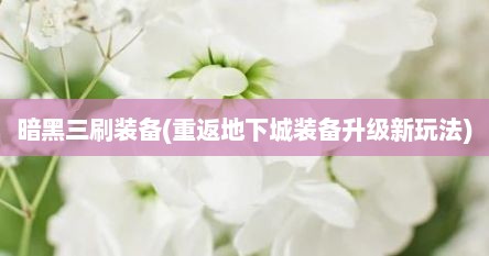 暗黑三刷装备(重返地下城装备升级新玩法)