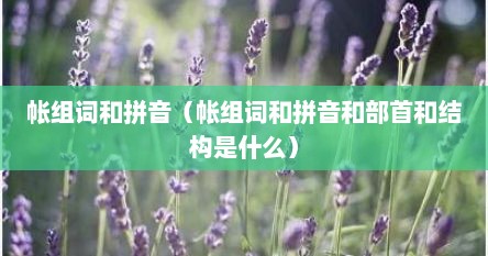 帐组词和拼音（帐组词和拼音和部首和结构是什么）