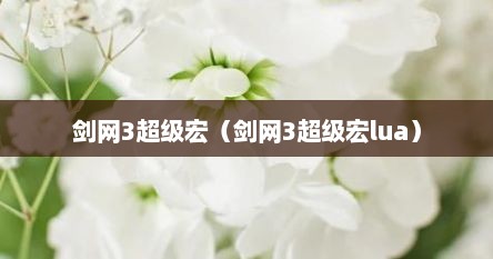 剑网3超级宏（剑网3超级宏lua）