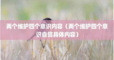 两个维护四个意识内容（两个维护四个意识自信具体内容）