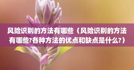 风险识别的方法有哪些（风险识别的方法有哪些?各种方法的优点和缺点是什么?）