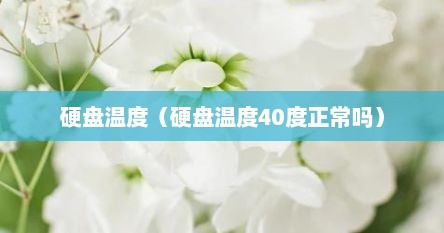 硬盘温度（硬盘温度40度正常吗）