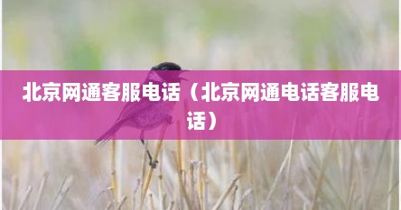 北京网通客服电话（北京网通电话客服电话）