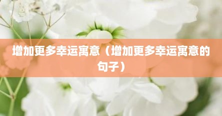 增加更多幸运寓意（增加更多幸运寓意的句子）