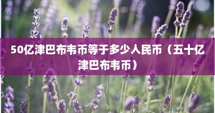 50亿津巴布韦币等于多少人民币（五十亿津巴布韦币）