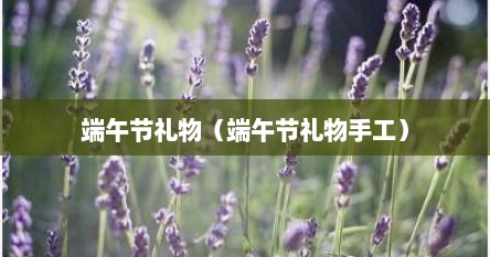 端午节礼物（端午节礼物手工）