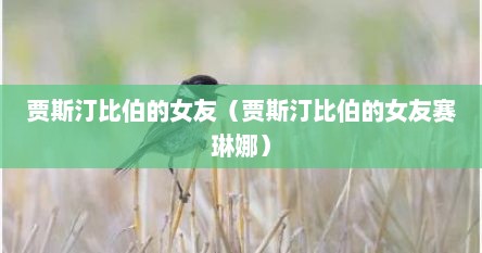 贾斯汀比伯的女友（贾斯汀比伯的女友赛琳娜）