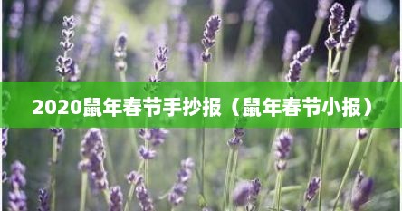 2020鼠年春节手抄报（鼠年春节小报）