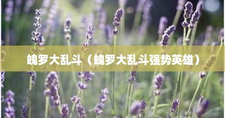 魄罗大乱斗（魄罗大乱斗强势英雄）