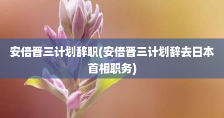 安倍晋三计划辞职(安倍晋三计划辞去日本首相职务)