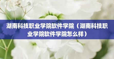 湖南科技职业学院软件学院（湖南科技职业学院软件学院怎么样）